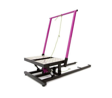 Therapeutic Inertial Squat Component