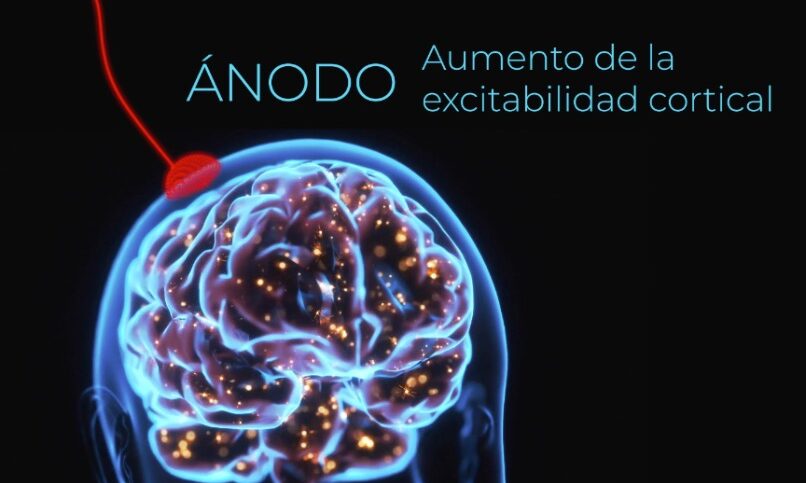 Aumento de la excitabilidad cortical Aumento de la excitabilidad cortical