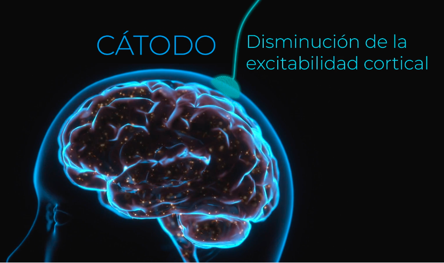 Disminución de la excitabilidad cortical Disminución de la excitabilidad cortical